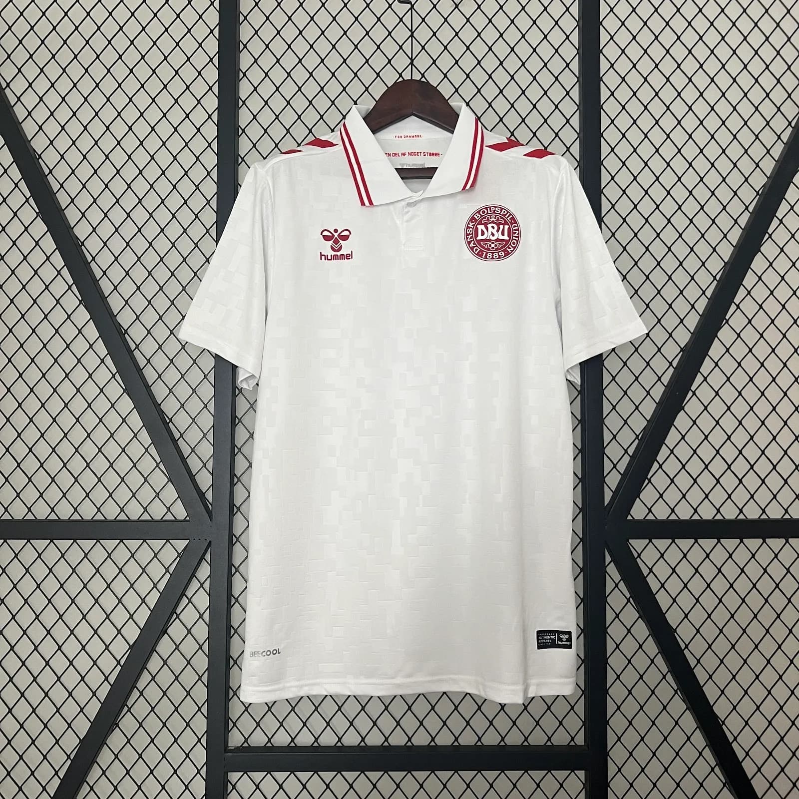 Camiseta Dinamarca – Visitante – 2024