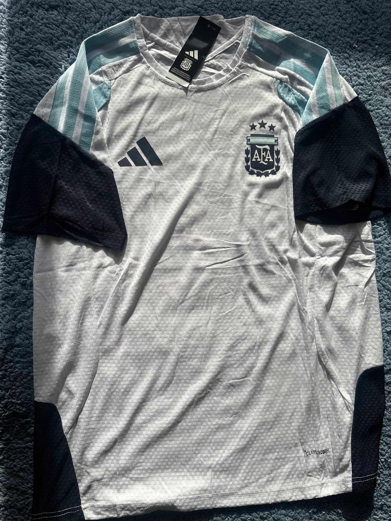 Camiseta Argentina Entrenamiento blanca manga corta